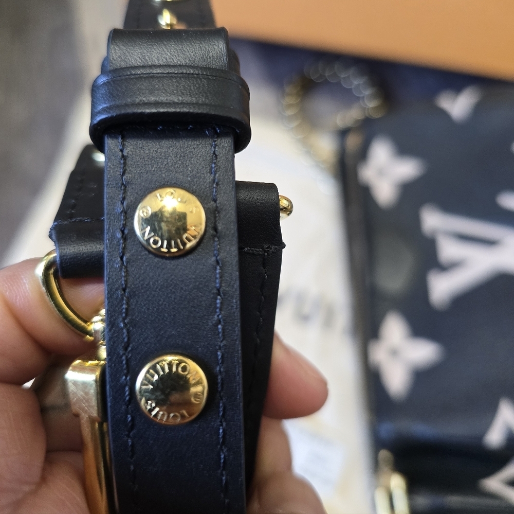 Louis Vuitton Multi Pochette Accessoires Bicolor Monogram Empreinte - Picture 15 of 17